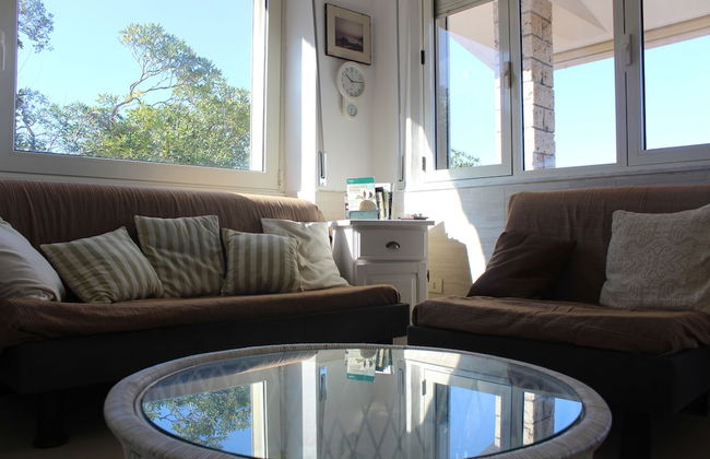 a Vacation That Becomes a Dream - Photo 15