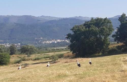 Quinta Lameira do Vale - Photo 10