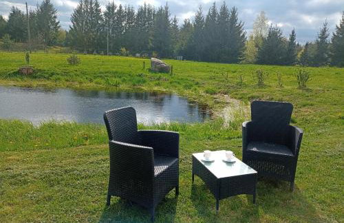 DOM w JESIONACH Brajniki - działka 1 HEKTAR - Photo 47