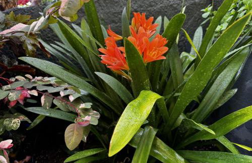 Sky & Ocean Villa - Photo 18