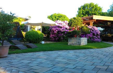 Ferienwohnung am Kurpark Ostrau - Photo 2