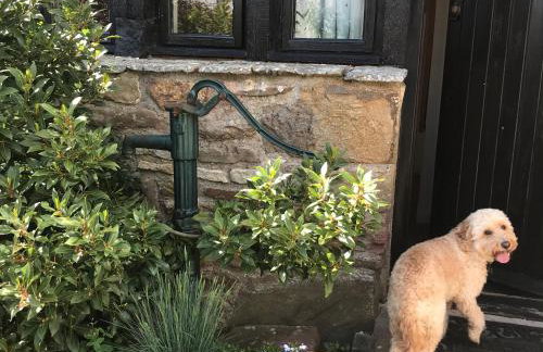 The Old Farm - Foto 56