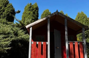 Apartment Cats Forest - Foto 20