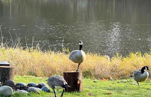 Private Lake House - Foto 39