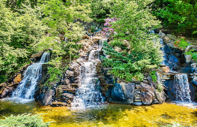 Cougar Crossing Vista - HotTub Pool View - Foto 60