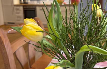 Ferienhof Hanssler - Photo 16