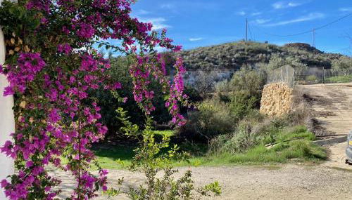 Mojacar farmhouse apartments with pool - Foto 2