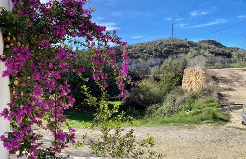 Mojacar farmhouse apartments with pool - Foto 2