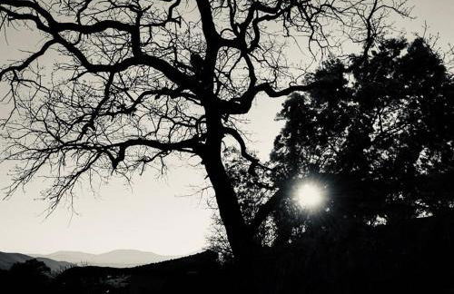 Casa Rural Las Jañonas CC-CR-00219 - Foto 56