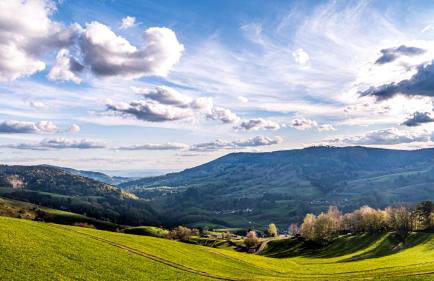 Gästehaus Holzer Kreuz - Gästezimmer Veilchen für 2 Personen inkl Landfrühstück - Foto 9