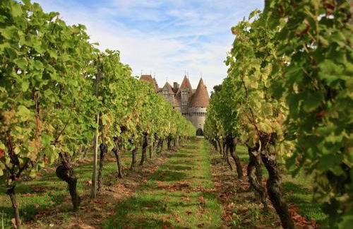 Cahors Countryside Retreat - Foto 18