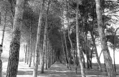 Relax e mare vicino al Cerrano - Photo 16