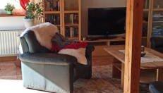 Schwedenstern - Familienurlaub an der Ostsee - Foto 3