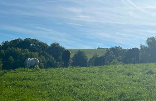 Schlossberg Apartments & Garten in der Natur & unweit vom "Thüringer Meer" - Foto 57