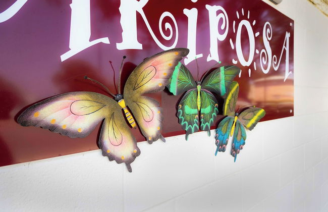 Mariposa Monarch Walk to River - Foto 29