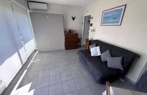 Studio climatisé près de la plage avec piscine et parking, Port Camargue - FR-1-731-101 - Foto 7