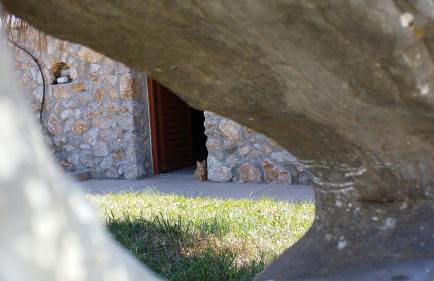 Elia Meronas - Photo 35