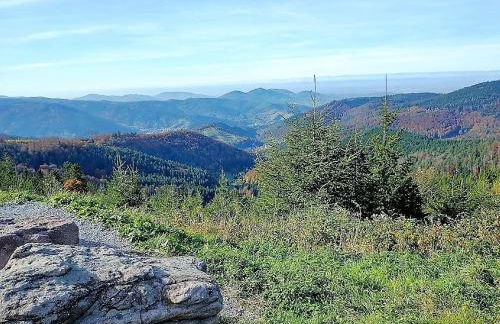 Ferienwohnung mit Aussicht - Foto 16