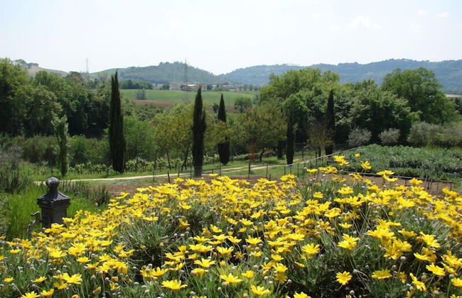 Agriturismo Terrasabina - Foto 58