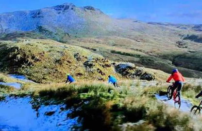 Kookaburra Cottage - Foto 27