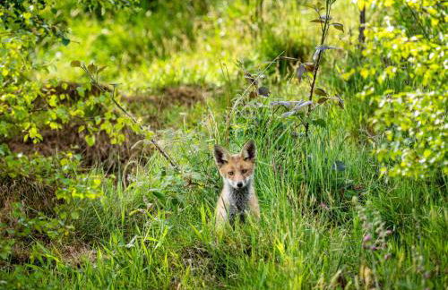 Coach House - Foto 63