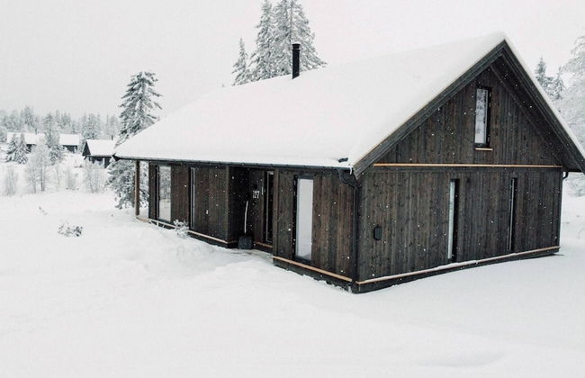 Modern Mountain Cabin - 3 Bedrooms - Sleeps 7 - Foto 28