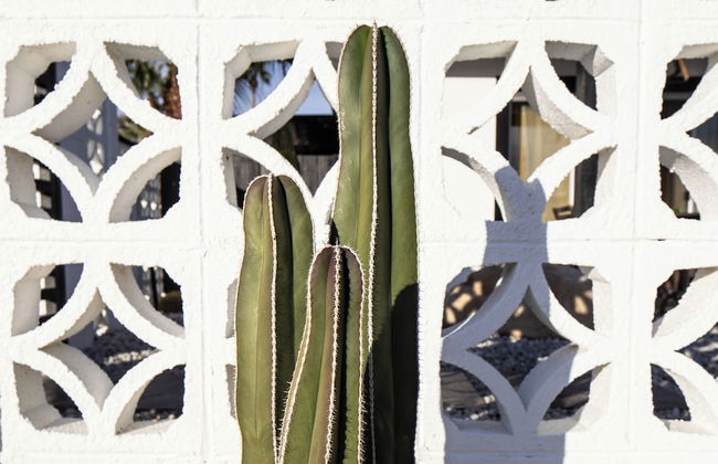 The Rosemary House La Quinta No.218742 - Foto 18