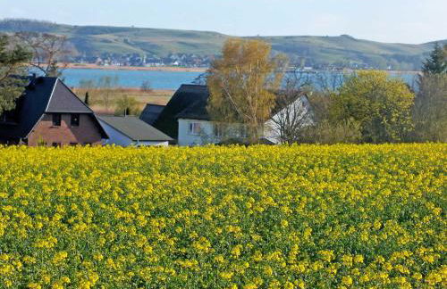 Ferienwohnung Möwennest mit Terrasse - Foto 12