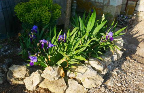 Au Coeur de la Cour - Foto 37