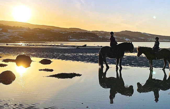 6 Person Holiday Home in Hamnvik - Foto 60