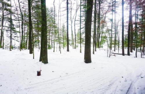 Creekside Big St Germain Lake - Foto 29