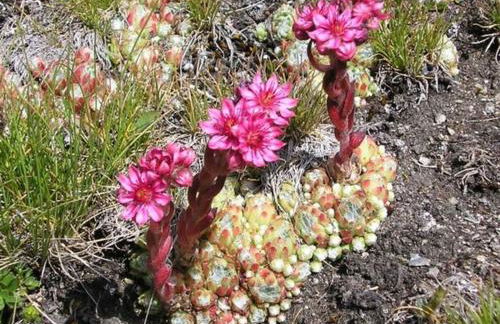 "Le Temps Suspendu" - Foto 66
