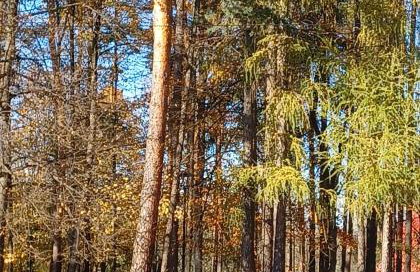 Apartament Parkowa 8 - Foto 12