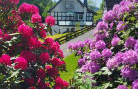 Ferienwohnung Krähling - Photo 4