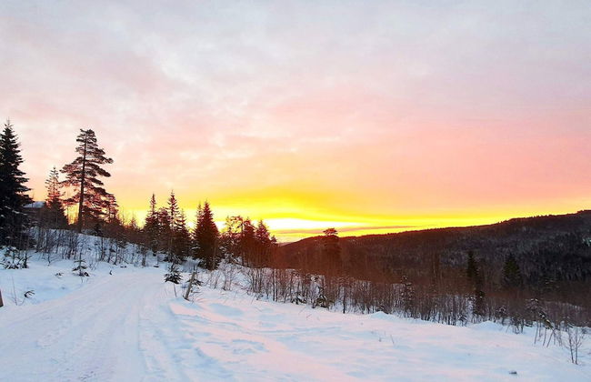 6 Person Holiday Home in Passebekk-by Traum - Foto 36