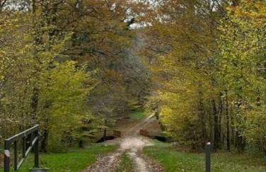 Petite maison cosy Chez Georges - Foto 17