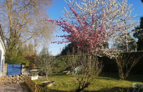 Charmant gîte près d'Angers avec extérieur privé - FR-1-622-93 - Photo 32