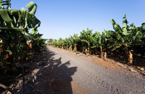 Casita 1, Caserio de Guaza - Foto 32