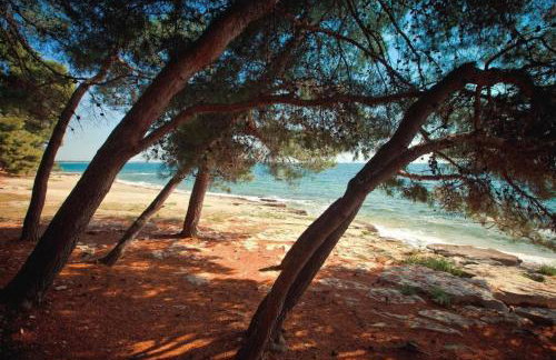 APP Mirjam - Savudrija, Umag - Foto 38