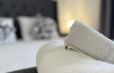 DM's Penthouse - Photo 9