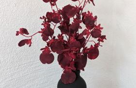 Ferienwohnung im Kontor Penzlin - Foto 29