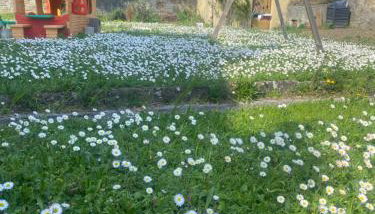 Casa Vacanza Alle Pratoline covered parking for bicycles and motorcycles - Foto 4