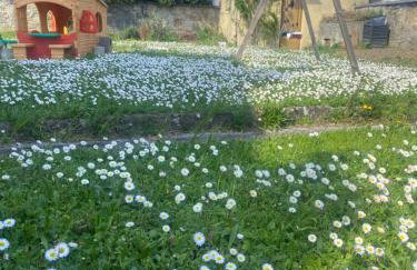 Casa Vacanza Alle Pratoline covered parking for bicycles and motorcycles - Foto 4