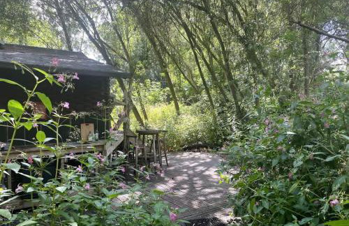 Kingfisher Riverside Glamping with private hot tub - Foto 6