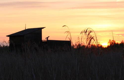 Marktplatz 14 Penthouse Apartments Bad Buchau - Foto 32