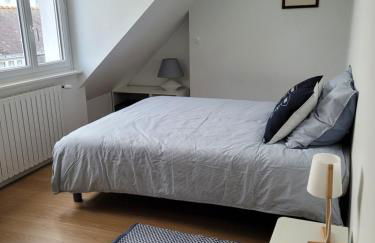 Les Sternes - centre ville- garage - Photo 19