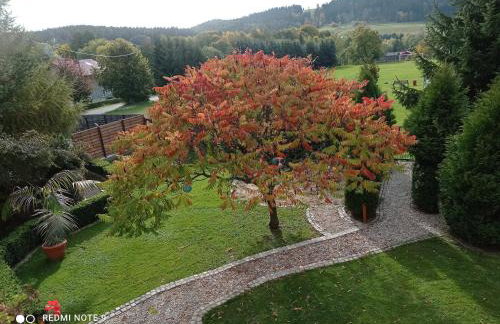 Apartamenty Sowianka - Foto 71