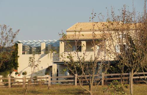 Aroggia Farm - Foto 63