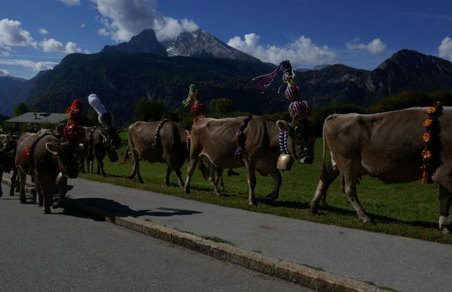 Malerhausl Modern Retreat - Foto 10