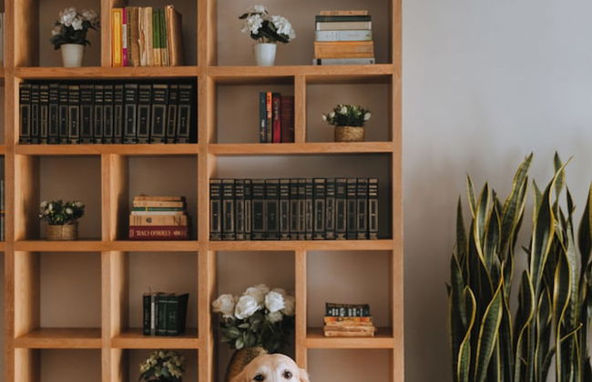 Travelers Orange Suites - Foto 58